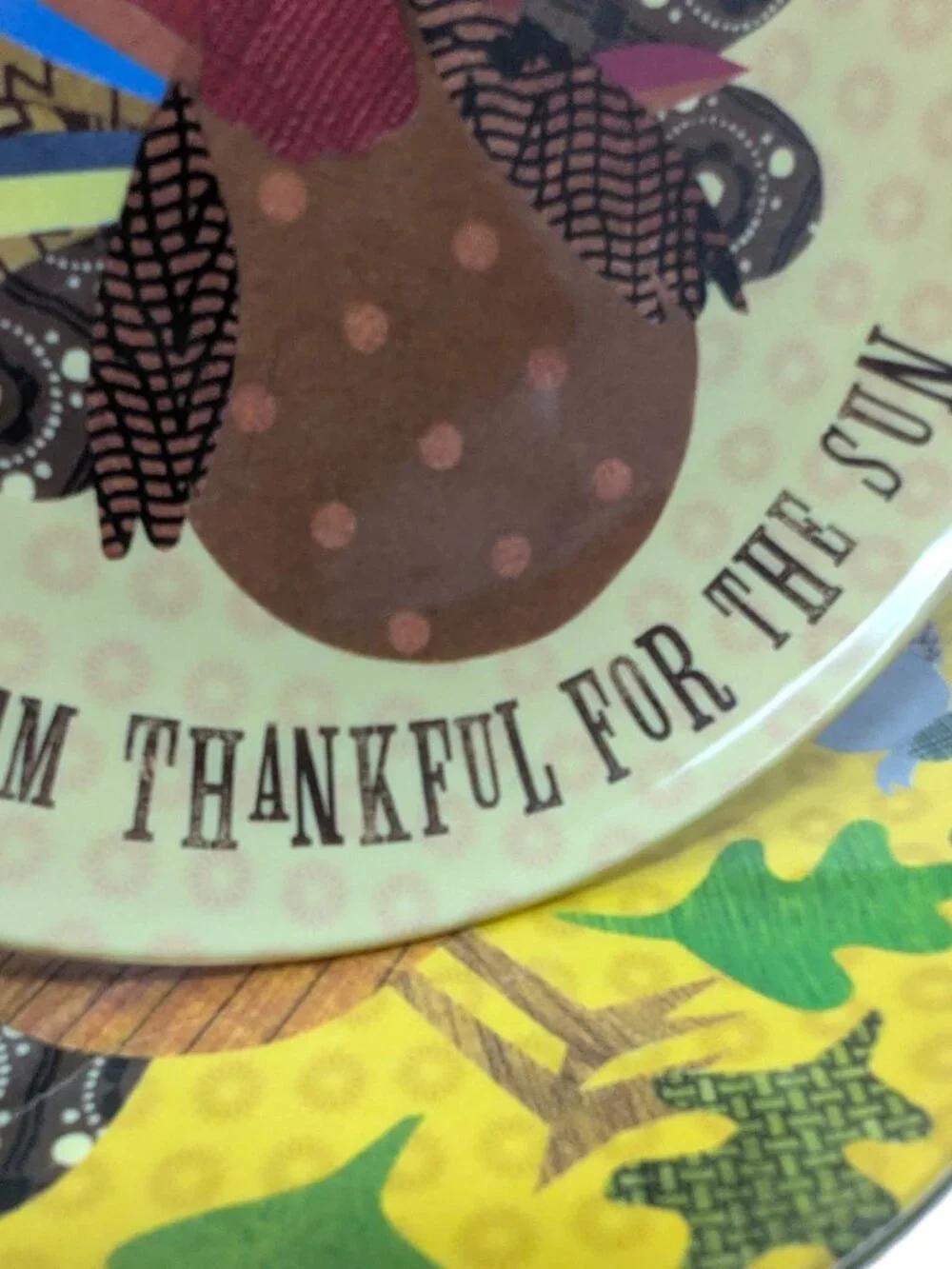 Pottery Barn Kids Thanksgiving Melamine Plates Turkey Thankful For Set Of 4